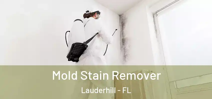 Mold Stain Remover Lauderhill - FL
