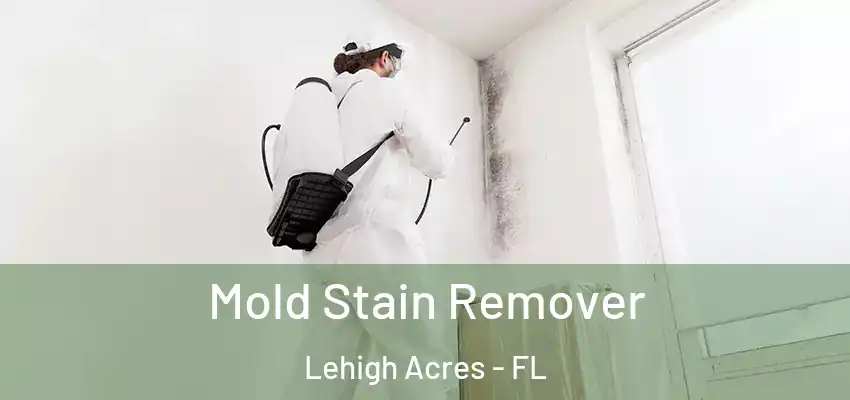  Mold Stain Remover Lehigh Acres - FL