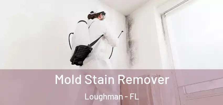  Mold Stain Remover Loughman - FL