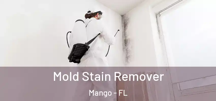 Mold Stain Remover Mango - FL