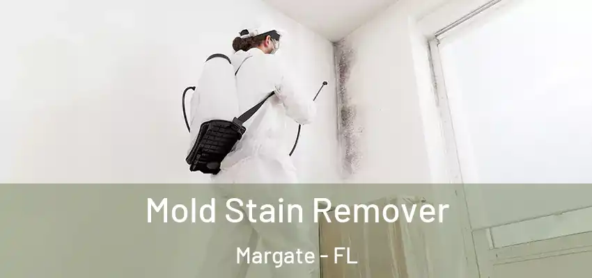  Mold Stain Remover Margate - FL
