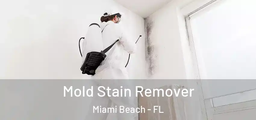  Mold Stain Remover Miami Beach - FL
