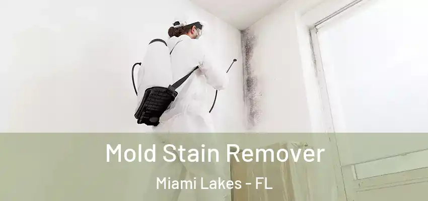  Mold Stain Remover Miami Lakes - FL