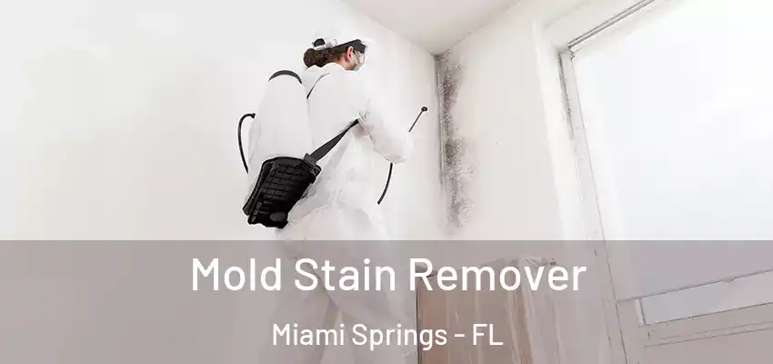 Mold Stain Remover Miami Springs - FL