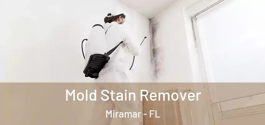 Mold Stain Remover Miramar - FL