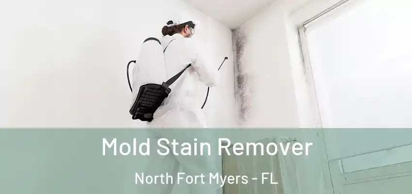 Mold Stain Remover North Fort Myers - FL