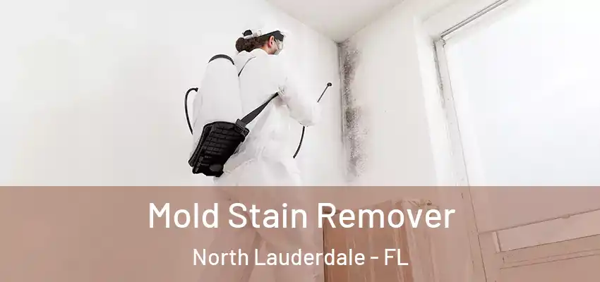 Mold Stain Remover North Lauderdale - FL