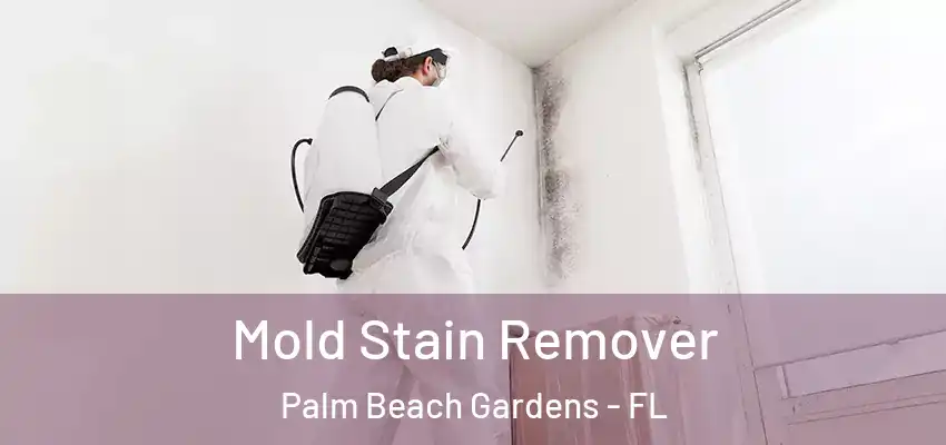 Mold Stain Remover Palm Beach Gardens - FL