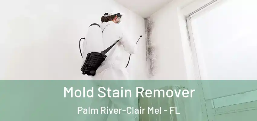  Mold Stain Remover Palm River-Clair Mel - FL