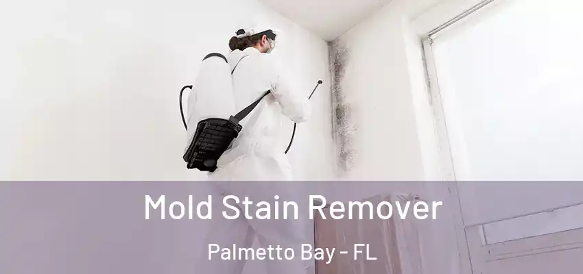 Mold Stain Remover Palmetto Bay - FL