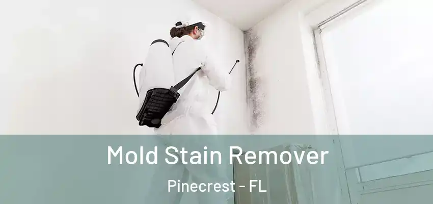 Mold Stain Remover Pinecrest - FL