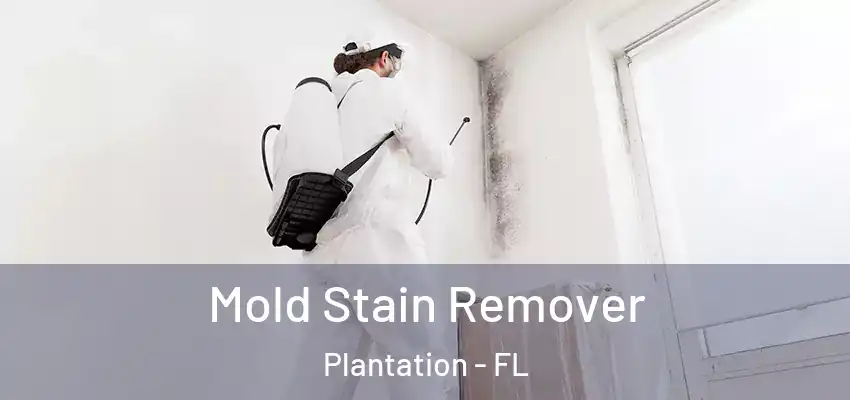 Mold Stain Remover Plantation - FL