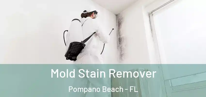  Mold Stain Remover Pompano Beach - FL