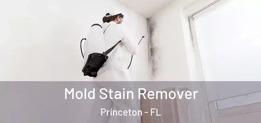 Mold Stain Remover Princeton - FL