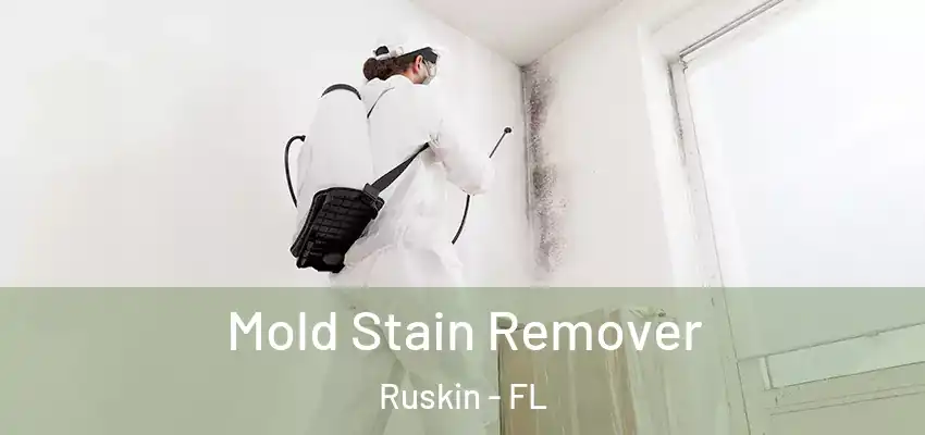 Mold Stain Remover Ruskin - FL
