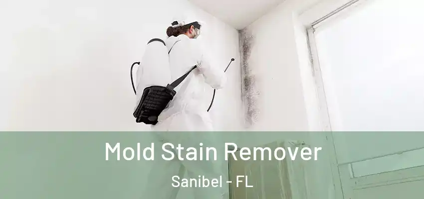  Mold Stain Remover Sanibel - FL