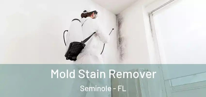 Mold Stain Remover Seminole - FL