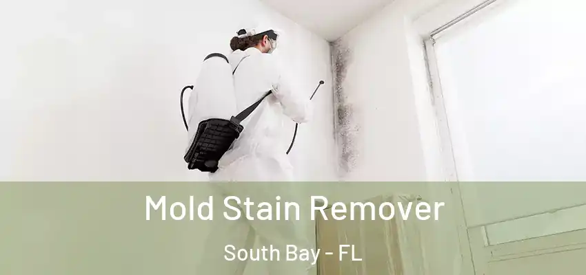  Mold Stain Remover South Bay - FL