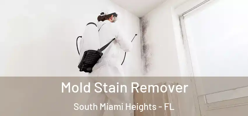 Mold Stain Remover South Miami Heights - FL