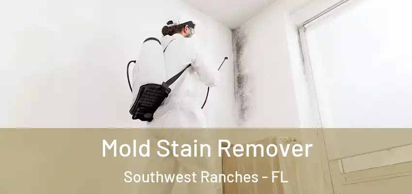 Mold Stain Remover Southwest Ranches - FL