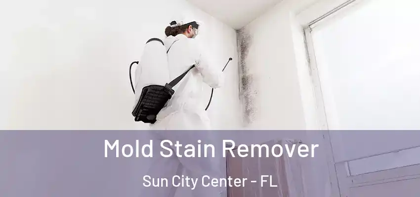  Mold Stain Remover Sun City Center - FL