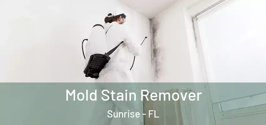  Mold Stain Remover Sunrise - FL