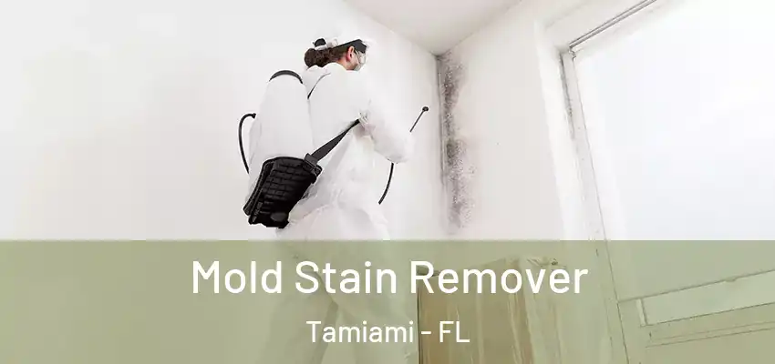  Mold Stain Remover Tamiami - FL