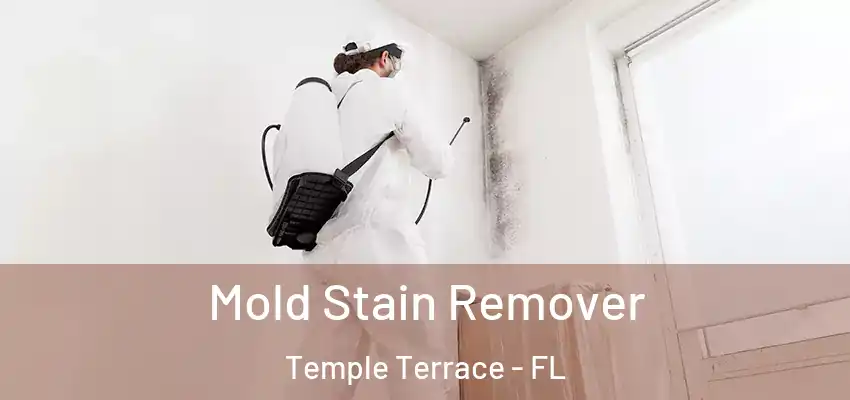 Mold Stain Remover Temple Terrace - FL