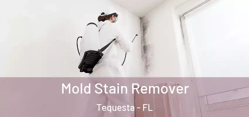 Mold Stain Remover Tequesta - FL