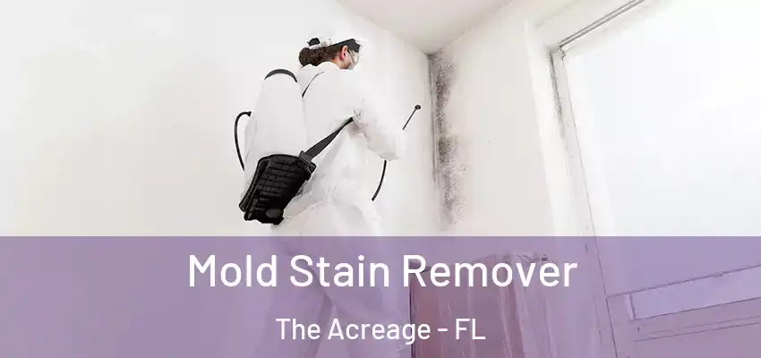 Mold Stain Remover The Acreage - FL