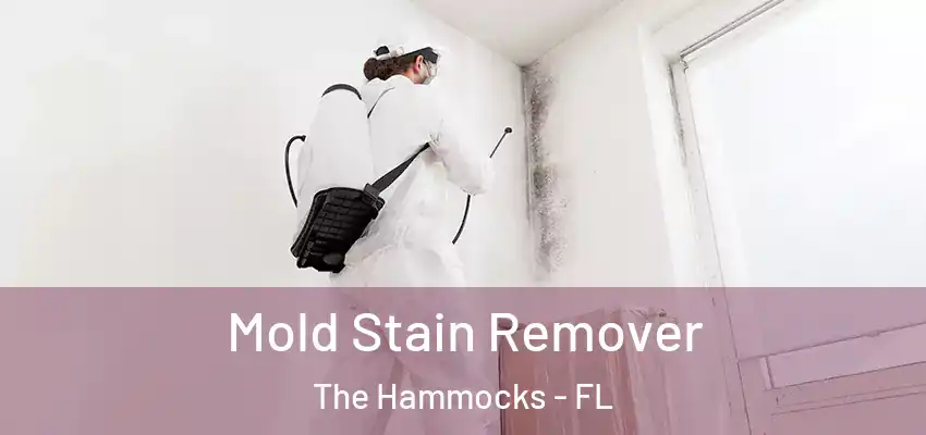 Mold Stain Remover The Hammocks - FL