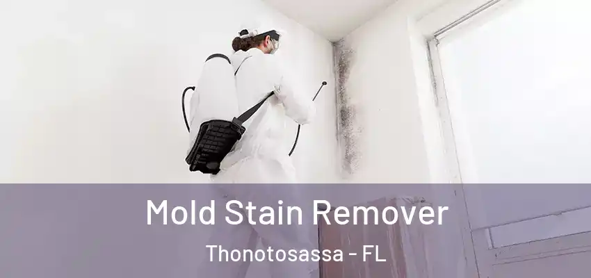  Mold Stain Remover Thonotosassa - FL
