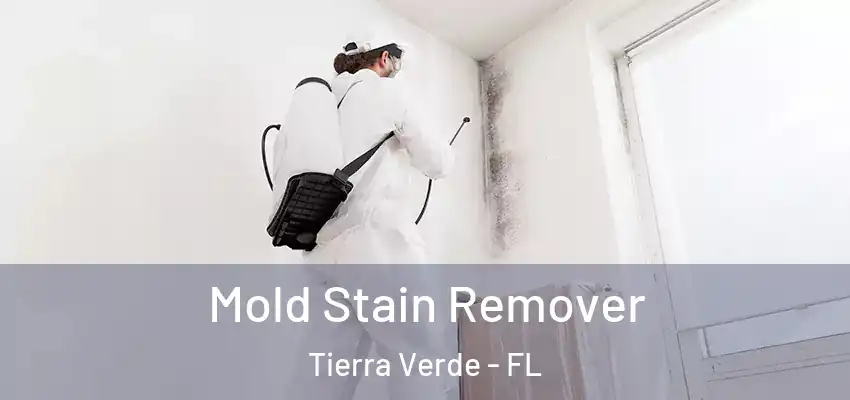 Mold Stain Remover Tierra Verde - FL