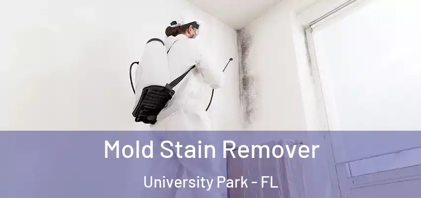  Mold Stain Remover University Park - FL