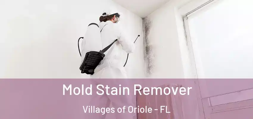 Mold Stain Remover Villages of Oriole - FL