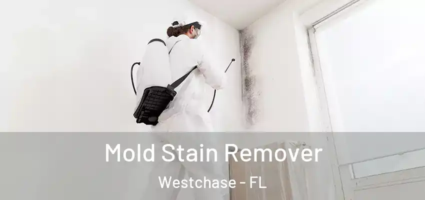 Mold Stain Remover Westchase - FL