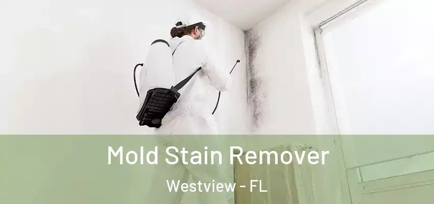  Mold Stain Remover Westview - FL