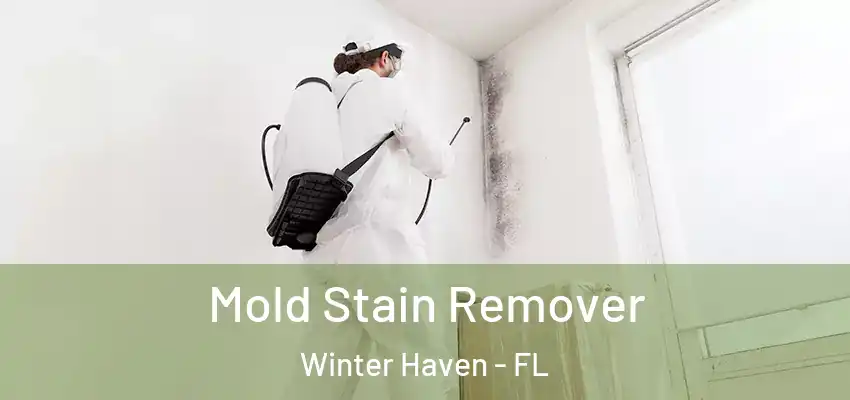 Mold Stain Remover Winter Haven - FL