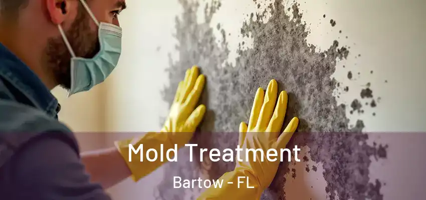  Mold Treatment Bartow - FL