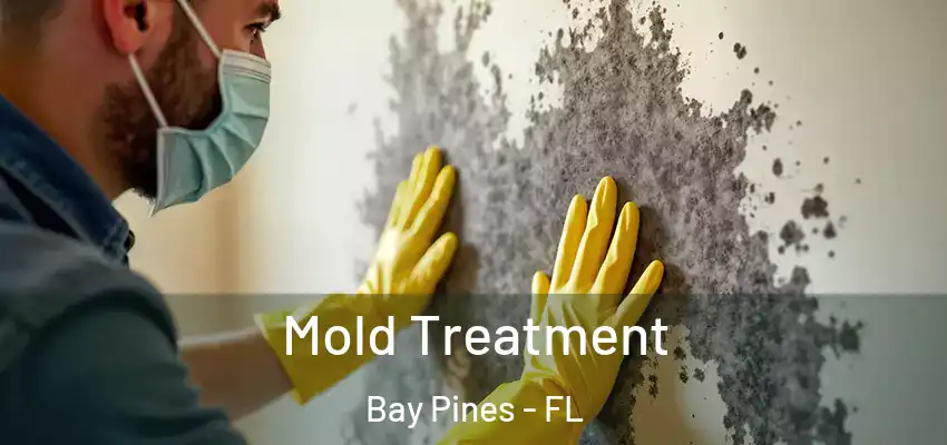 Mold Treatment Bay Pines - FL