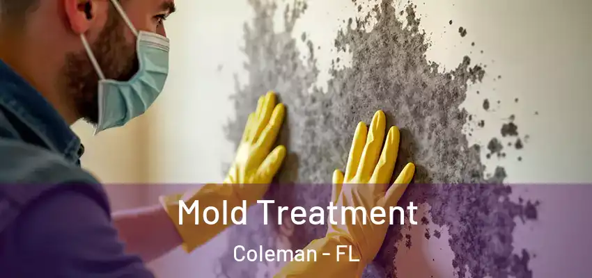  Mold Treatment Coleman - FL