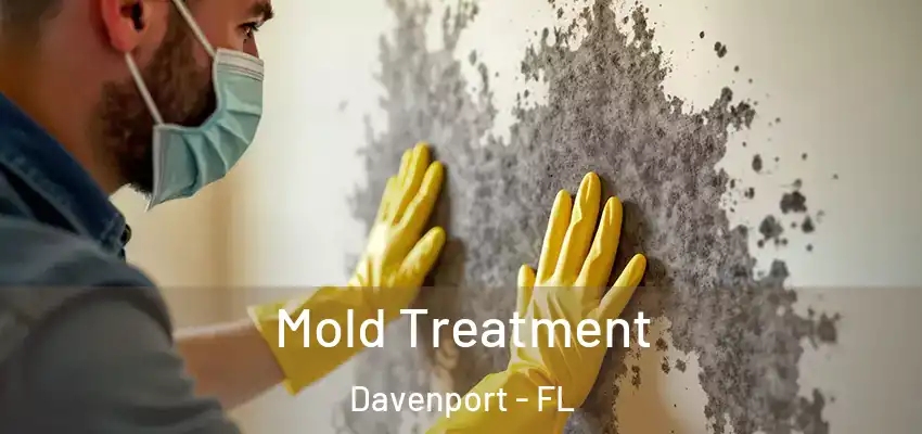 Mold Treatment Davenport - FL