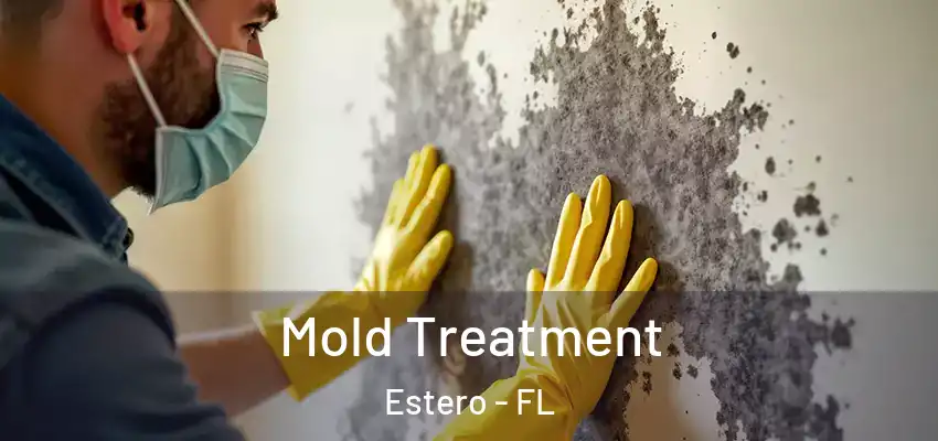 Mold Treatment Estero - FL