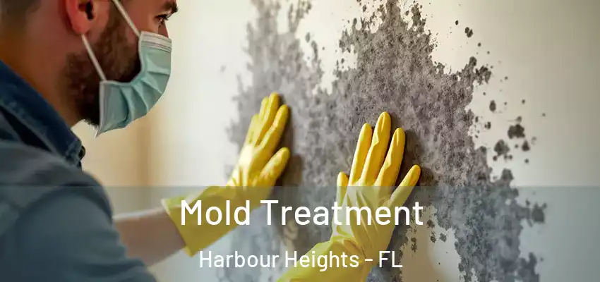 Mold Treatment Harbour Heights - FL
