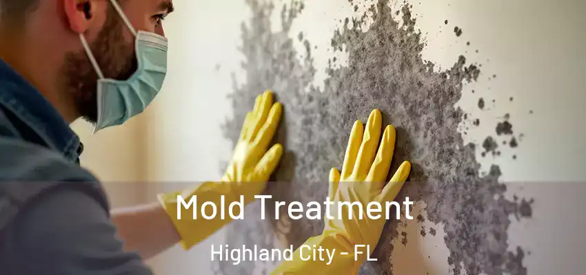 Mold Treatment Highland City - FL