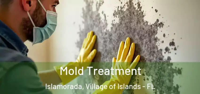 Mold Treatment Islamorada, Village of Islands - FL