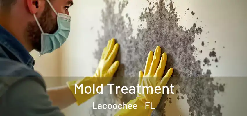 Mold Treatment Lacoochee - FL