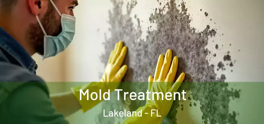  Mold Treatment Lakeland - FL