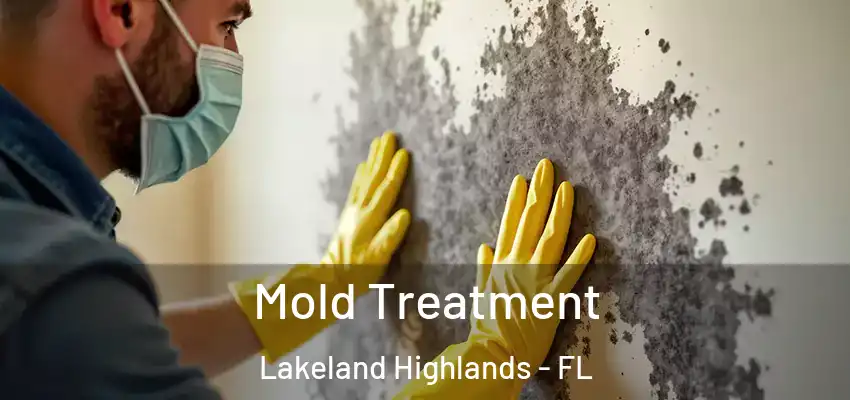 Mold Treatment Lakeland Highlands - FL