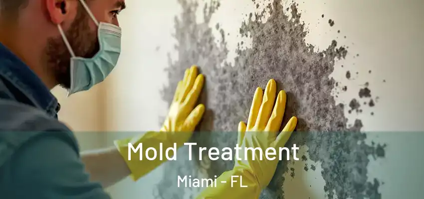  Mold Treatment Miami - FL